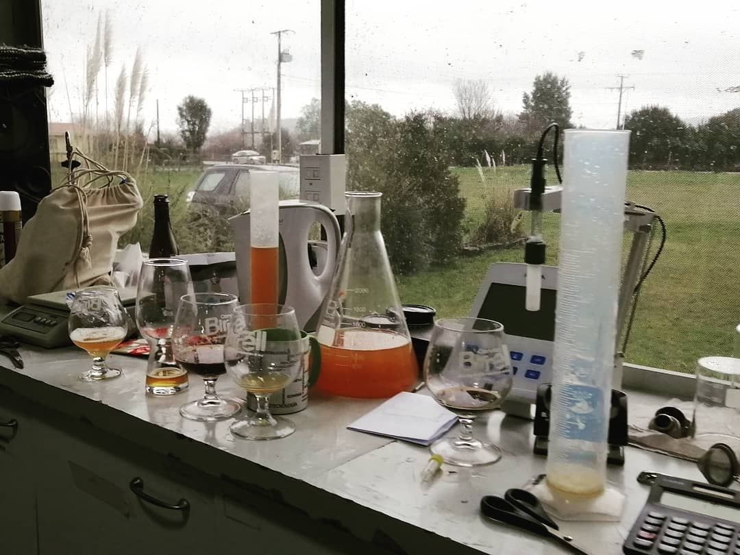 Copas de cata junto a material de laboratorio