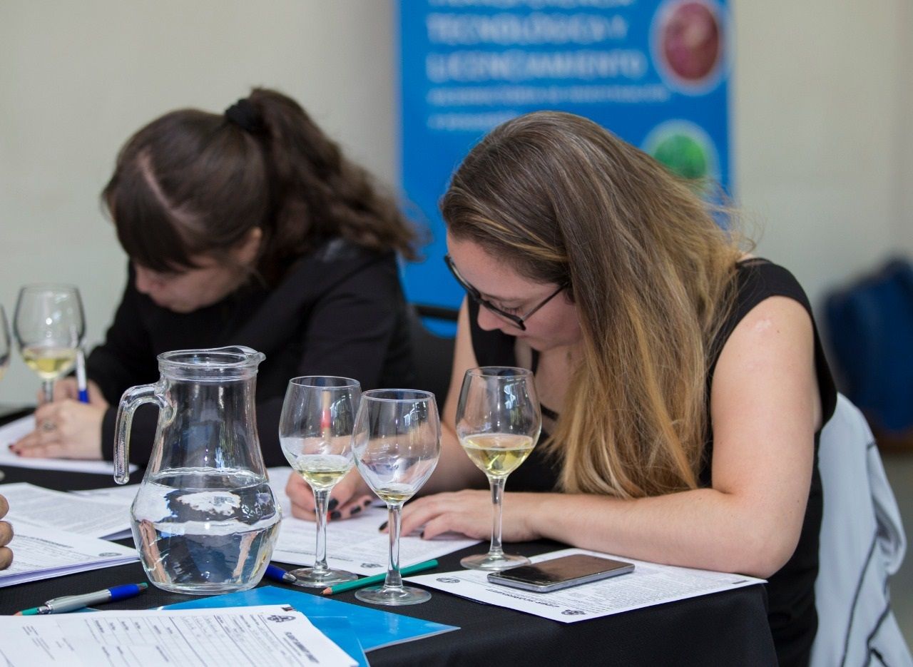 Evaluación técnica de bebidas fermentadas