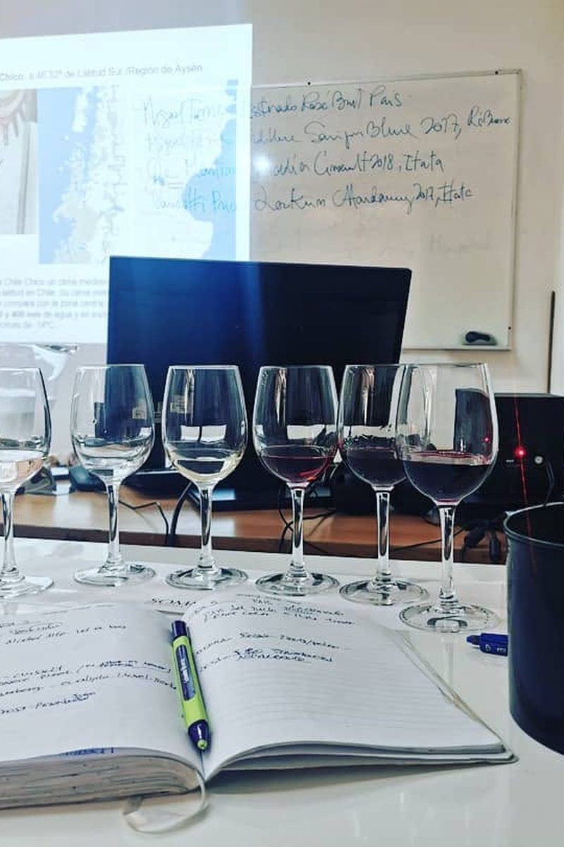 Guía de evaluación abierta junto a copas de cata