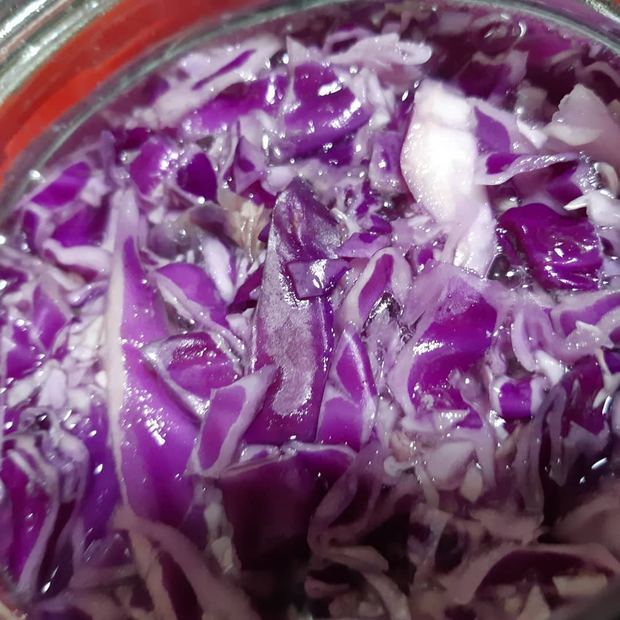 Fermentación de repollo morado