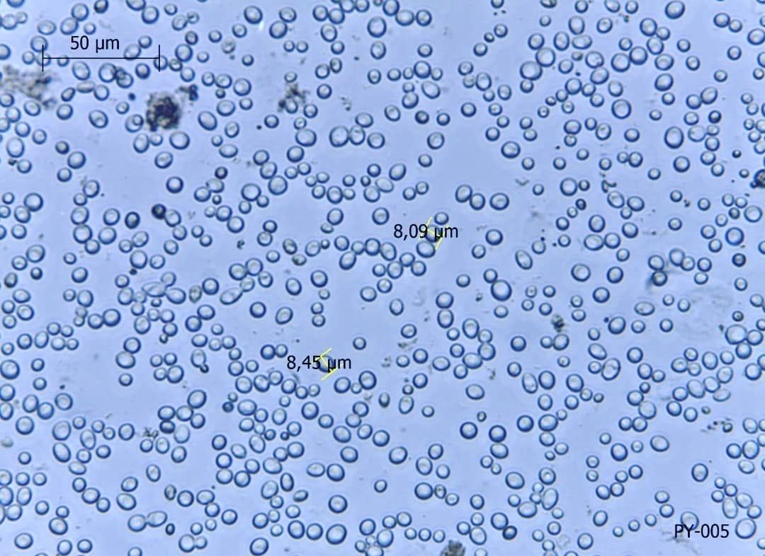 Levaduras vistas al microscopio