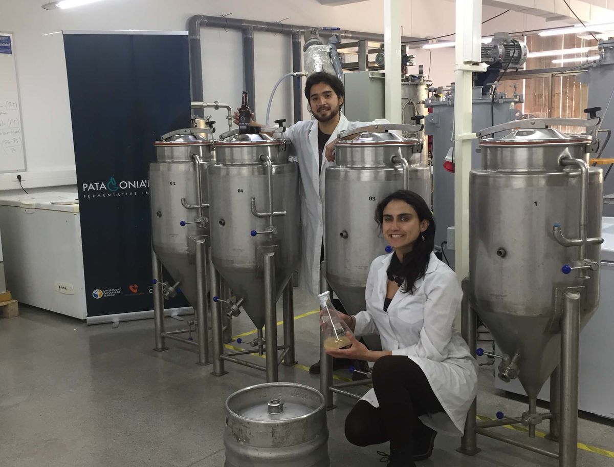 Fermentadores en la planta piloto