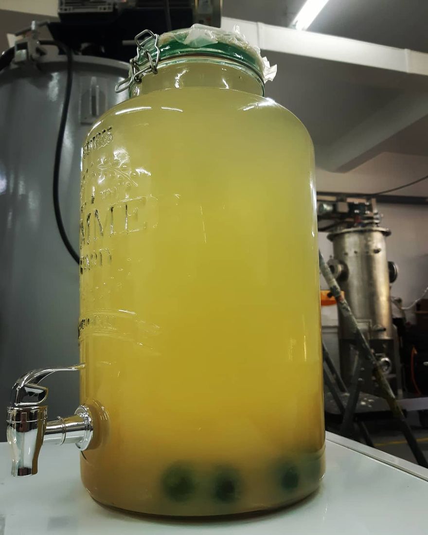 Bebida fermentada sin alcohol lista para servir