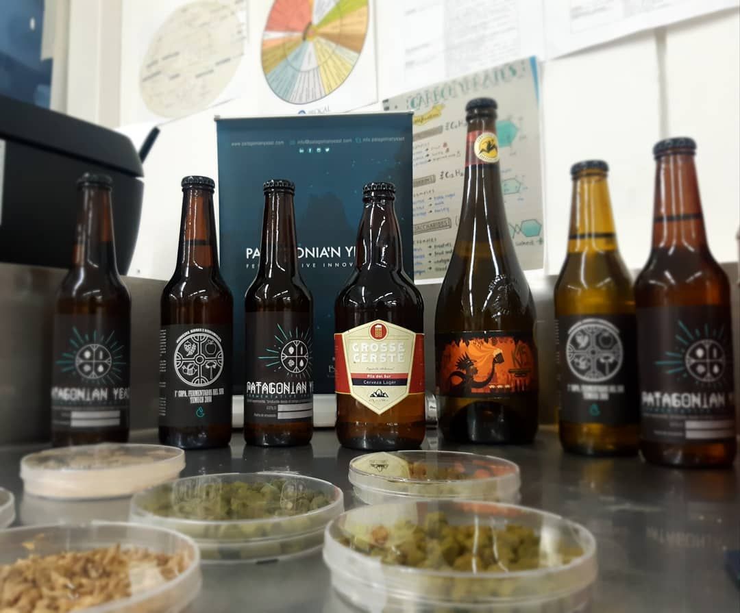Botellas desarrolladas junto a sus insumos